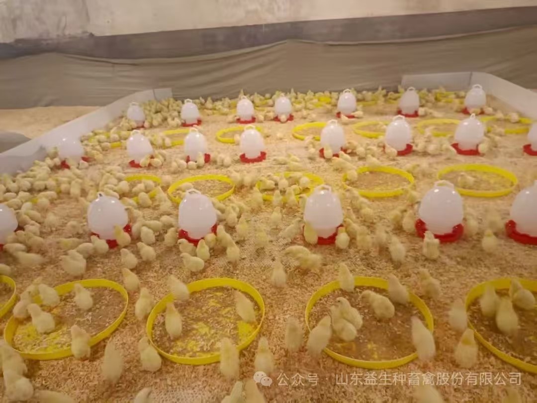 �����֡�ϲѶ���ǹ��ɶ� - �����ʵ���Ϸ��Ӫ�̹����ɷ����ڵھ�������˳���������������1.6��������������ּ��ֳ��볡