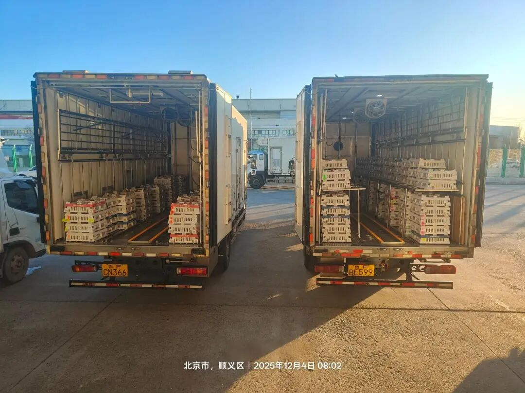 [���֡��ǹ��ɶ� - �����ʵ���Ϸ��Ӫ�̹����ɷ��ٶ�����������Դ������������ͷְλ�ο����ܹ�ҵ�ȹ�