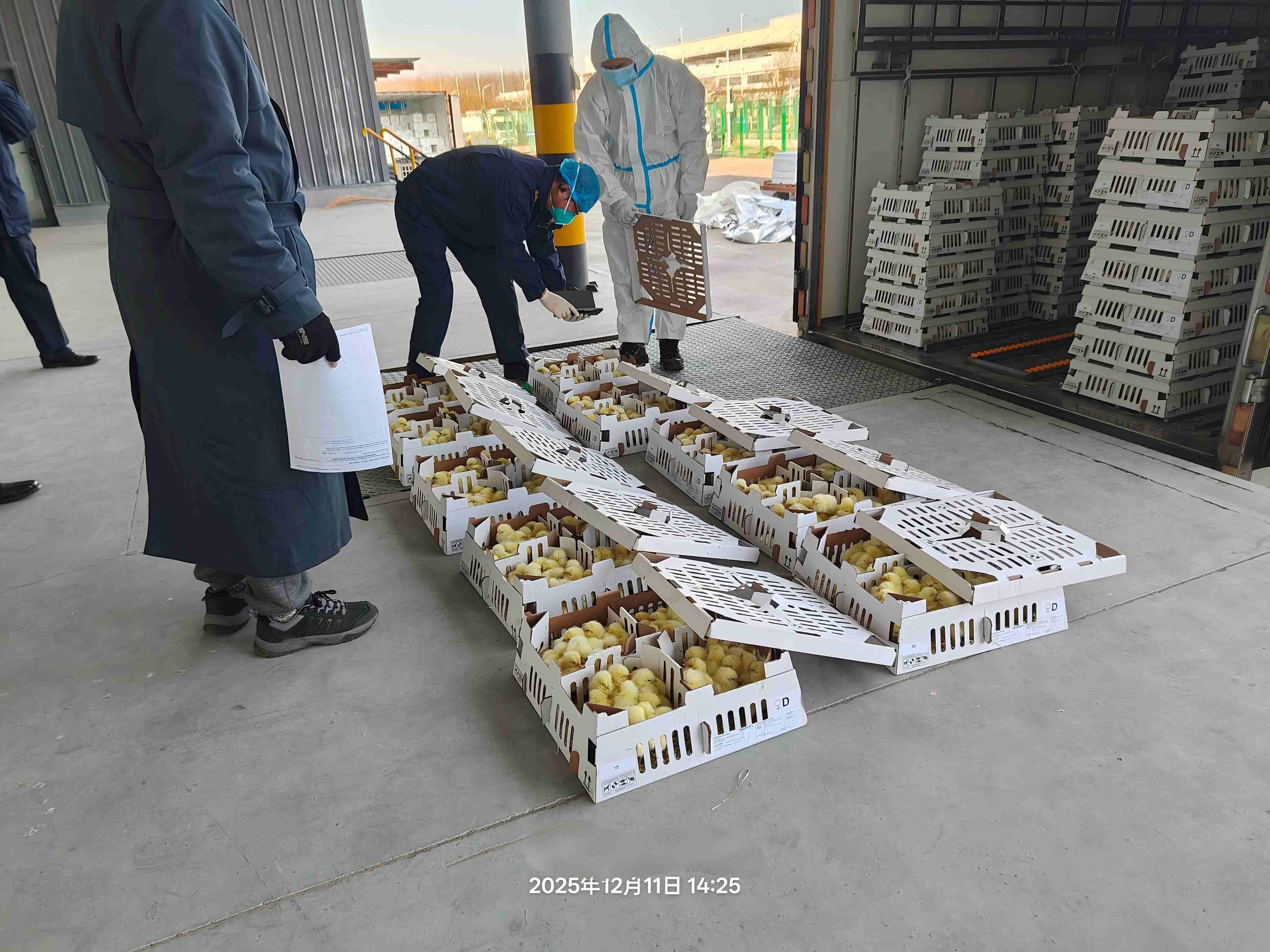 ��ϲѶ���ǹ��ɶ� - �����ʵ���Ϸ��Ӫ�̹����ɷ��������Բ���չ٣����������ۼ��������ߴ�26.6����